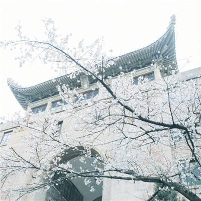 第十六届海峡论坛大会在厦门举行 王沪宁出席并致辞