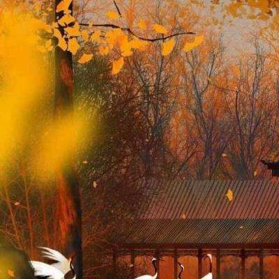 北京石景山：“爱心助老情暖社区”志愿服务活动进社区